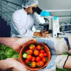 Immagine 1 azienda SAFOS - FOOD SAFETY Servizi professionali in Palermo