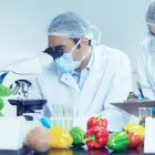 Immagine 2 azienda SAFOS - FOOD SAFETY Servizi professionali in Palermo
