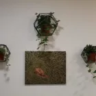 Immagine 3 azienda SALONE ARTE' Servizi di bellezza in Bolzano