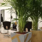 Immagine 4 azienda SALONE ARTE' Servizi di bellezza in Bolzano