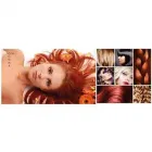 Immagine 8 azienda SALONE IDEA DONNA Servizi di bellezza in Caldogno VI