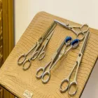 Immagine 4 azienda SALONE NORMA Servizi di bellezza in Bolzano