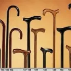 Immagine 3 azienda SANITARIA ORTOPEDIA GUARINO Shopping e acquisti in Roma