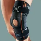 Immagine 26 azienda SANITARIA ORTOPEDIA GUARINO Shopping e acquisti in Roma