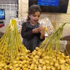 Immagine 9 azienda SANSOVINO ALIMENTARI Shopping e acquisti in Torino