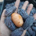 Immagine 10 azienda SANSOVINO ALIMENTARI Shopping e acquisti in Torino