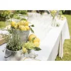 Immagine 3 azienda SANTI CATERING Servizi professionali in Castello Di Godego TV