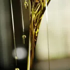 Immagine 4 azienda SAPORD'OLIO Shopping e acquisti in Roma