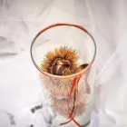 Immagine 2 azienda SAVERIO VERONICO FLORAL DESIGN Shopping e acquisti in Bari