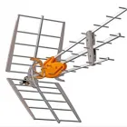 Immagine 1 azienda SCACCAGLIA DIEGO Veicoli in Parma