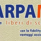 Immagine 7 azienda SCARPAMIA Shopping e acquisti in Capo D'orlando ME