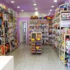 Immagine 1 azienda SCODINZOLANDO Servizi professionali in Lido Di Ostia RM