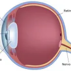 Immagine 3 azienda SCUDERI DR. ANTONINO OCULISTA Salute in Catania