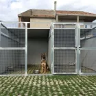 Immagine 2 azienda SCUOLA ADDESTRAMENTO CANI CENTRO CINOFILO DINAMIC DOG A.S.D. Shopping e acquisti in Ardea RM