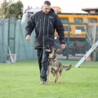 Immagine 4 azienda SCUOLA ADDESTRAMENTO CANI CENTRO CINOFILO DINAMIC DOG A.S.D. Shopping e acquisti in Ardea RM