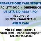 Immagine 6 azienda SCUOLA ADDESTRAMENTO CANI CENTRO CINOFILO DINAMIC DOG A.S.D. Shopping e acquisti in Ardea RM