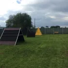 Immagine 8 azienda SCUOLA ADDESTRAMENTO CANI CENTRO CINOFILO DINAMIC DOG A.S.D. Shopping e acquisti in Ardea RM