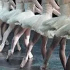 Immagine 2 azienda SCUOLA DI DANZA L'OPERÀ Sport e tempo libero in Albano Laziale RM