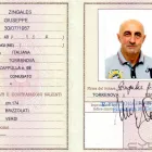 Immagine 3 azienda SDA EXPRESS COURIER SPA Spedizioniere in Messina