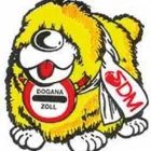 Immagine 1 azienda SDM SOCIETA' DICHIARANTI DOGANALI MODENESI Spedizionieri in Campogalliano MO