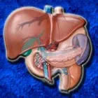 Immagine 3 azienda SEBASTIANO DOTT. SIRINGO GASTROENTEROLOGO ED EPATOLOGO Salute in Catania