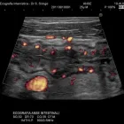 Immagine 5 azienda SEBASTIANO DOTT. SIRINGO GASTROENTEROLOGO ED EPATOLOGO Salute in Catania