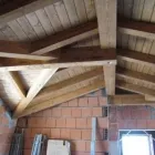 Immagine 4 azienda SEGHERIA TOGNELLA ALESSANDRO Shopping e acquisti in Arsago Seprio VA