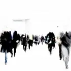 Immagine 1 azienda SELCOM GROUP Shopping e acquisti in Castel Maggiore BO