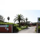 Immagine 2 azienda SEMENTI SCARPARO Vivaio in Latina