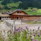 Immagine 3 azienda SENFTER MACELLERIA E BISTRO Shopping e acquisti in San Candido BZ