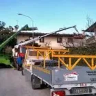 Immagine 5 azienda SERENA P.F. GRONDAIE Shopping e acquisti in Borso Del Grappa TV
