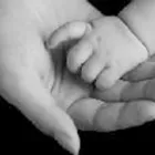 Immagine 2 azienda SERPELLONI DR.SSA CARLA - OMEOPATA E NATUROPATA Salute in Borgosatollo BS