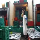Immagine 2 azienda SERVIZI LOGISTICI Servizio di logistica in Rimini