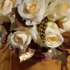 Immagine 1 azienda SETTEDIFIORI Vivaio in Modena