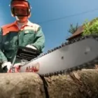 Immagine 7 azienda SETTI FERRAMENTA Vivaio in Modena