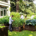 Immagine 41 azienda SHERATON LAKE COMO HOTEL Viaggi e turismo in Como