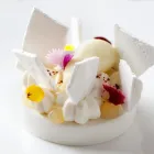 Immagine 51 azienda SHERATON LAKE COMO HOTEL Viaggi e turismo in Como