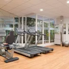 Immagine 71 azienda SHERATON LAKE COMO HOTEL Viaggi e turismo in Como