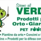 Immagine 1 azienda SIAMO AL VERDE Vivaio in Cervia RA