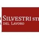 Immagine 1 azienda SILVESTRI DR. VINCENZO CONSULENTE DEL LAVORO Servizi professionali in Palermo