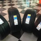 Immagine 2 azienda SILVI GOMME Veicoli in Sambuceto CH