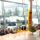 Immagine 4 azienda SILVI GOMME Veicoli in Sambuceto CH