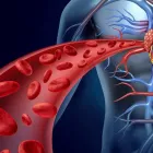 Immagine 5 azienda SMAO Terapista occupazionale in Castiglione Delle Stiviere MN