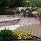 Immagine 3 azienda SOCIETA' AGRICOLA VIVAI STANGHERLIN Vivaio in Castello Di Godego TV