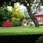 Immagine 6 azienda SOCIETA' AGRICOLA VIVAI STANGHERLIN Vivaio in Castello Di Godego TV