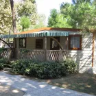 Immagine 2 azienda SOCIETÀ GESTIONE CAMPEGGI Viaggi e turismo in Ravenna