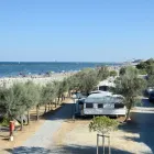 Immagine 4 azienda SOCIETÀ GESTIONE CAMPEGGI Viaggi e turismo in Ravenna