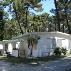 Immagine 5 azienda SOCIETÀ GESTIONE CAMPEGGI Viaggi e turismo in Ravenna