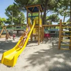 Immagine 6 azienda SOCIETÀ GESTIONE CAMPEGGI Viaggi e turismo in Ravenna