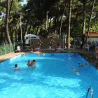 Immagine 8 azienda SOCIETÀ GESTIONE CAMPEGGI Viaggi e turismo in Ravenna